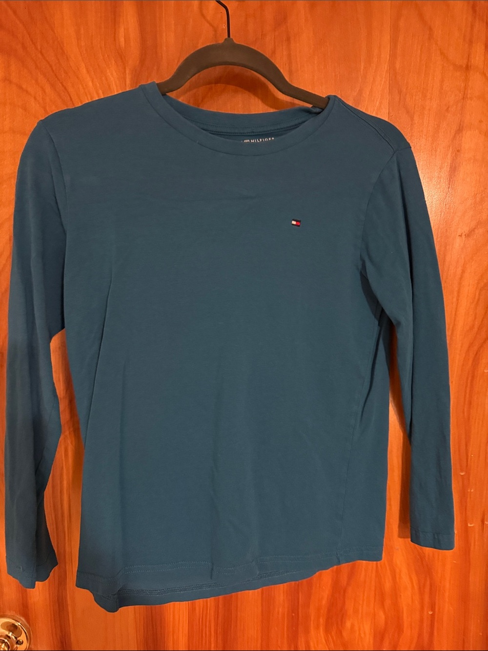 Tommy Hilfiger kids Teal Long-Sleeve Crewneck Shirt with Flag Logo